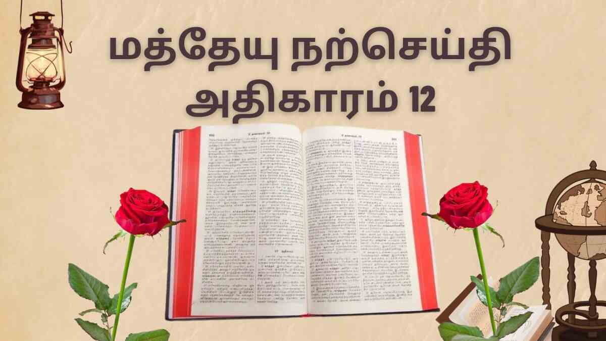 மத்தேயு நற்செய்தி அதிகாரம் 12