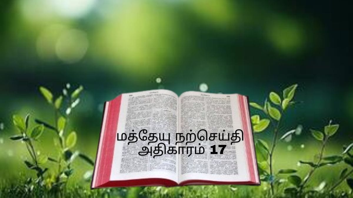 மத்தேயு நற்செய்தி அதிகாரம் 17