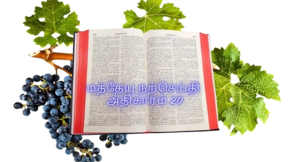 மத்தேயு நற்செய்தி அதிகாரம் 20