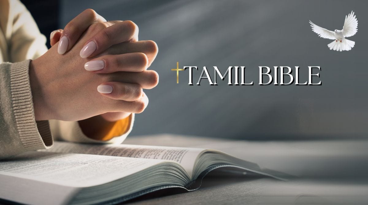 Tamil Bible